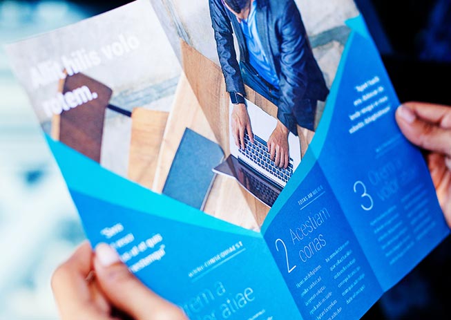 Web- und Grafikdesign